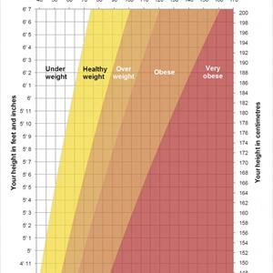  Austin Hcg Diet 7