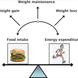 Exercise Tips For Weight Loss - The Elements Of Fat Burning